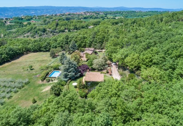 Living at Villa Paola means living in close contact with nature - Villa Paola 