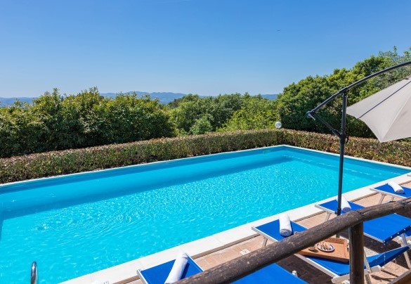 The nice pool immersed in the green park - Villa Paola 