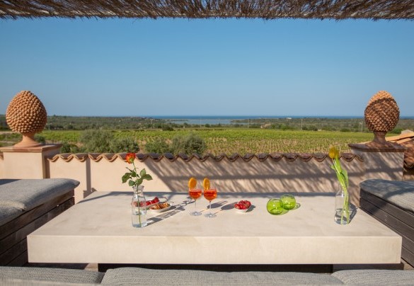 Terrazza sul tetto – Villa Passo degli Aironi