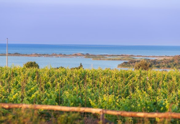 Veduta sul pantano di Vendicari – Villa Passo degli Aironi