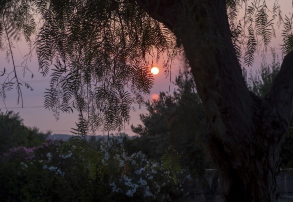Una veduta all’imbrunire - Villa Passulunara	
