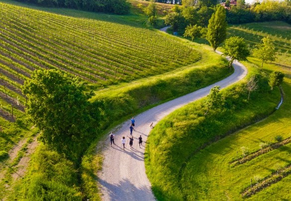 Villa Pergola being part of the Palazzo di Varignana estate, guests can take advantage of extra services such as visiting the farm and doing wine tasting in the cellar - Villa Pergola