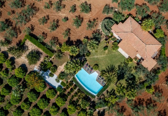 Immersed in a 20-hectare organic farm - Villa Pineta