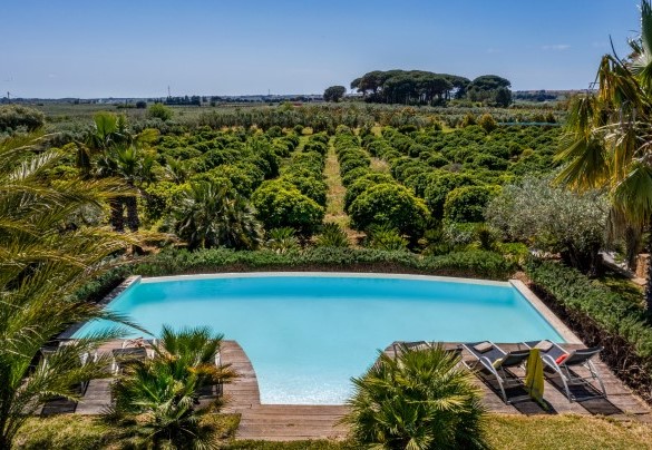 Estate which invites long walks that end at the pine forest facing the sea - Villa Pineta
