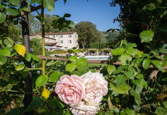 Il giardino, di circa 5000 mq, e la villa sullo sfondo - Villa Ginevra