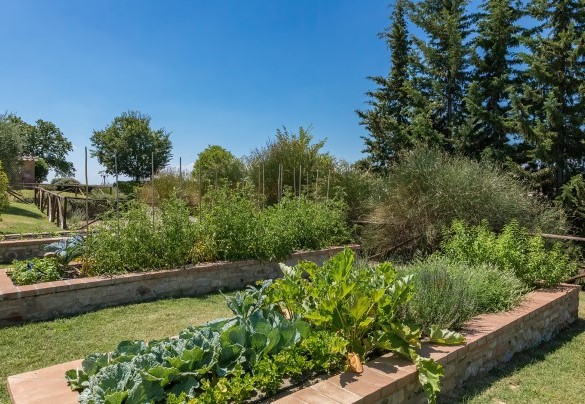 Giardino ornamentale con piante aromatiche- Villa Poggio Bonelli