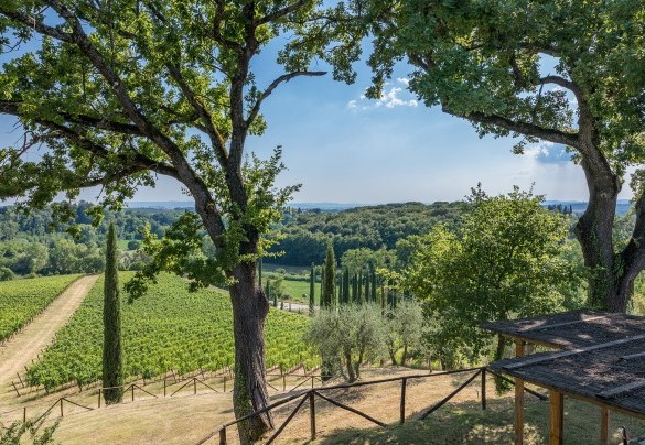 Il pergolato davanti all’ingresso dell’annesso è una preziosa zona di relax - Villa Poggio Bonelli