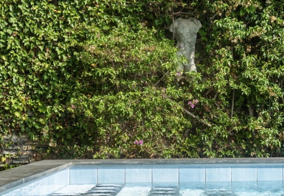 In the second terrace of 50 square meters, protected by a wall of bougainvillea, there is a beautiful swimming pool with a particular pentagonal shape - Villa Ponti