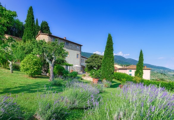 Il parco è arricchito dalla presenza di limoni, aranci, lavanda, piante aromatiche e un’infinità di fiori colorati - Villa Primo Sole 