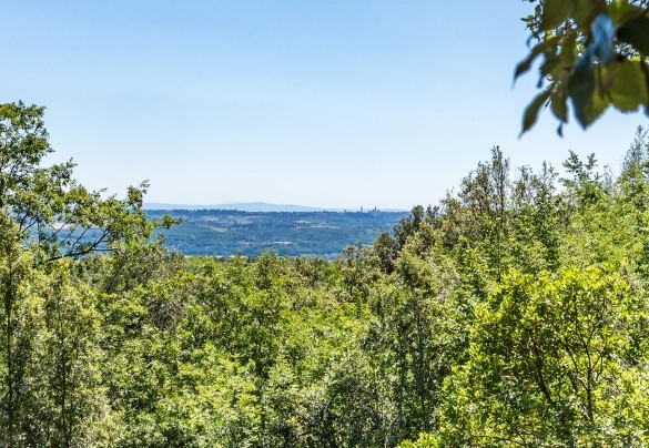 In the distance you can see the profiles of Siena - Villa Rinaldi