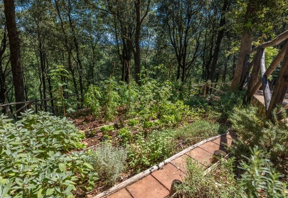 The park is completed by a vegetable garden with seasonal vegetables and herbs available to guests - Villa Rinaldi
