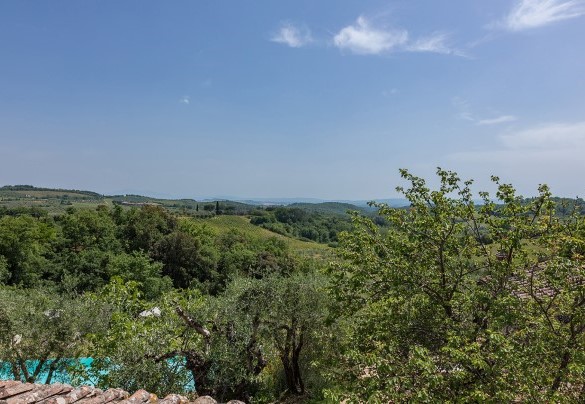 Il parco copre una superficie di circa 4 ettari, coltivati prevalentemente a uliveto e vigneto – Villa Santa Maria