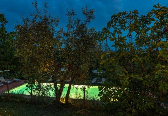 La piscina illuminata al limitare del vigneto e dell’oliveto – Villa Santa Maria