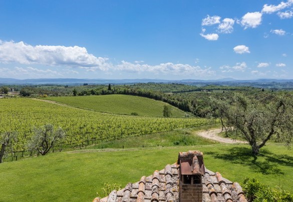 Il parco (parzialmente recintato) si inserisce all’interno della Tenuta Tolaini, ed è costituito da un curatissimo e verde giardino - Villa Siena