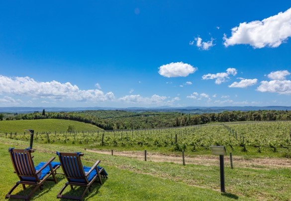 Il casale è inserito in posizione indipendente nella prestigiosa cornice dell’Azienda vitivinicola a vocazione biologica Tolaini - Villa Siena