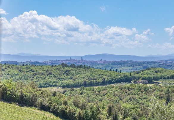 Il parco (parzialmente recintato) si inserisce all’interno della Tenuta Tolaini, ed è costituito da un curatissimo e verde giardino - Villa Siena