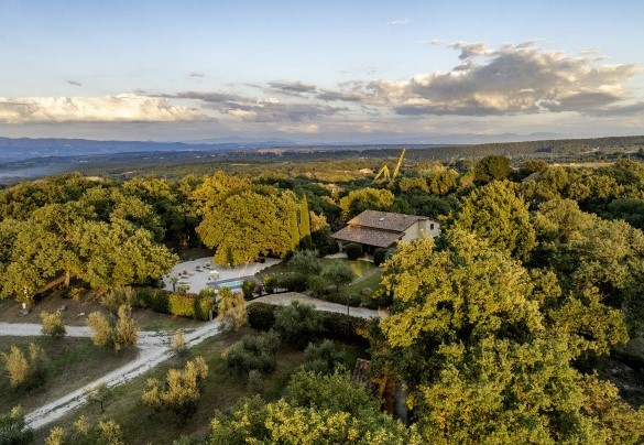 The Villa is located within a olive-growing farm of about 10 hectares spread over a hilly area - Villa Sparta
