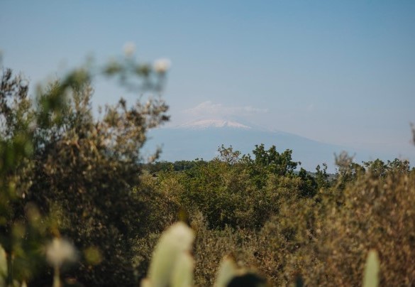 Etna in the background - Villa Sumac