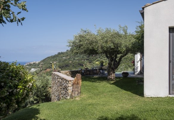 A green corner of the garden  - Villa Talia