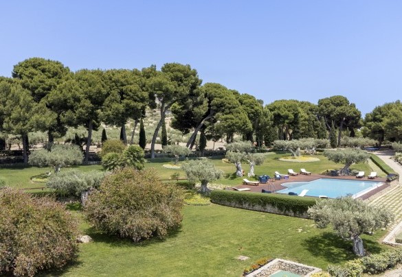  La piscina circondata da alberi e piante - Villa Terra del Sole