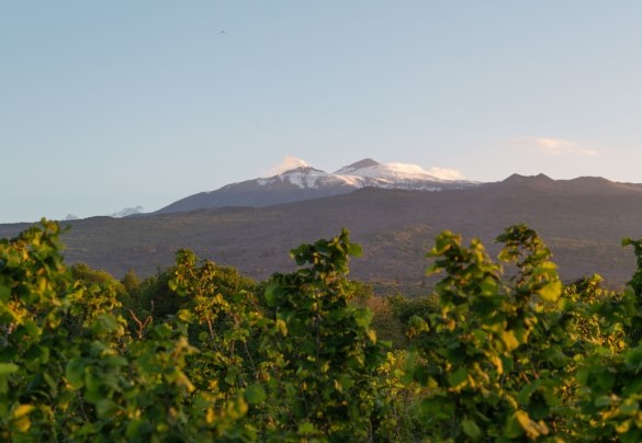 Mount Etna – Villa Terre Normanne