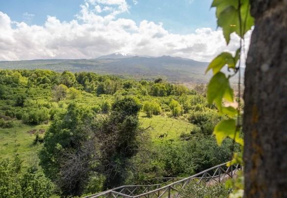 The view of Mount Etna – Villa Terre Normanne