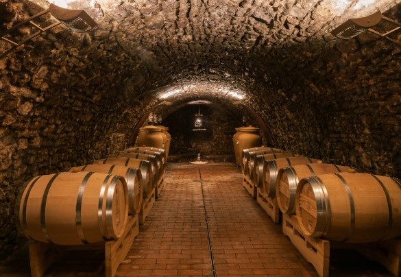 Cellar - Villa Torre di Terzolan
