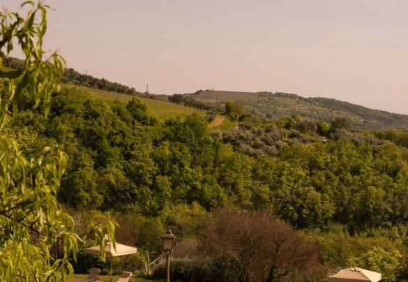 The pool offers a beautiful villa overlooking the valley up to Verona - Villa Torre di Terzolan