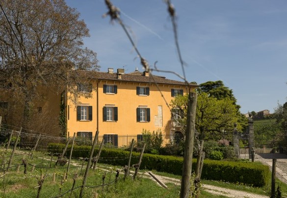 External view of the house, surrounded by the vineyards - Villa Torre di Terzolan