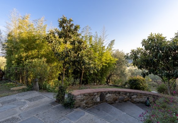 The staircase in the way leading to the swimming pool   - Villa Treggiaia