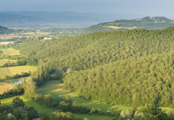 I'ts located deep in the beautiful wooded and hilly countryside of the Tuscan Valtiberina - Villa Vittoria D'Anghiari