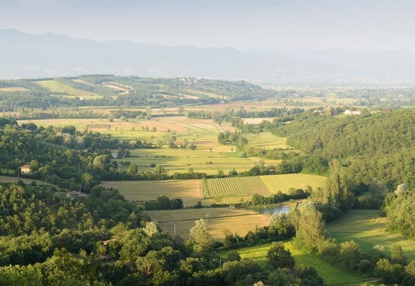  The green hills surrounding the property - Villa Vittoria D'Anghiari