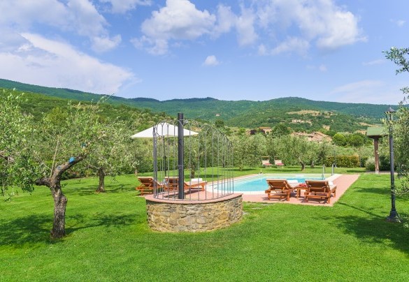 The pool is framed along its perimeter by a broad expanse of olive trees - Vinciluna 