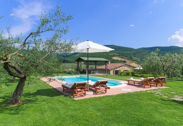 The beautiful pool for exclusive use - Vinciluna