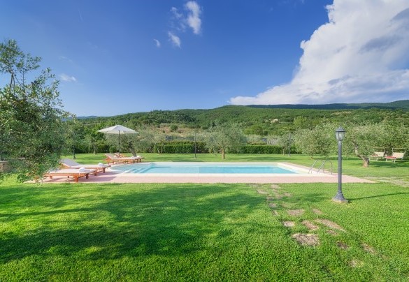 The swimming pool embraced by the green garden - Vinciluna