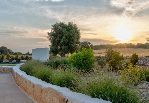 Tripudio di colori e di natura mediterranea - White Stone House