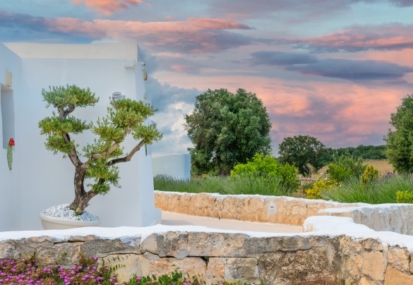 La natura di macchia mediterranea che circonda la villa -White Stone House